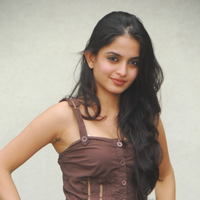 Actress Sheena Shahabadi latest Photos | Picture 46621